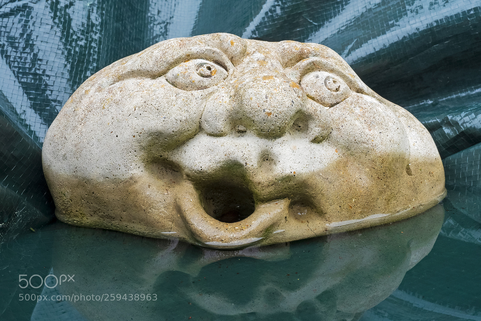 Olympus OM-D E-M5 II sample photo. Happy rock pool photography