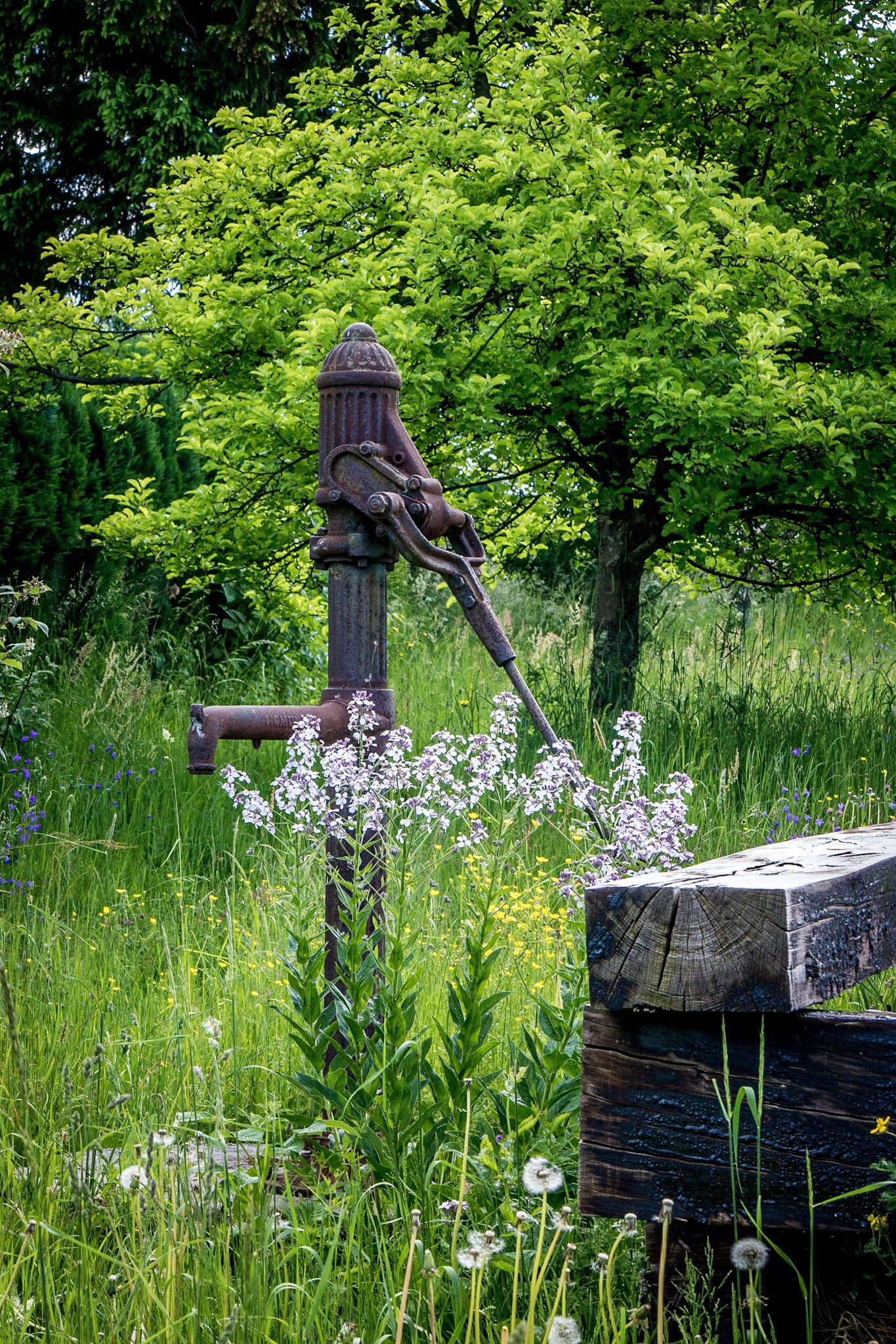 Samsung NX30 sample photo