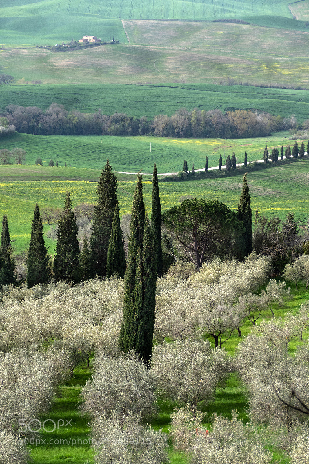 Panasonic Lumix DMC-FZ1000 sample photo. Tuscany feeling photography