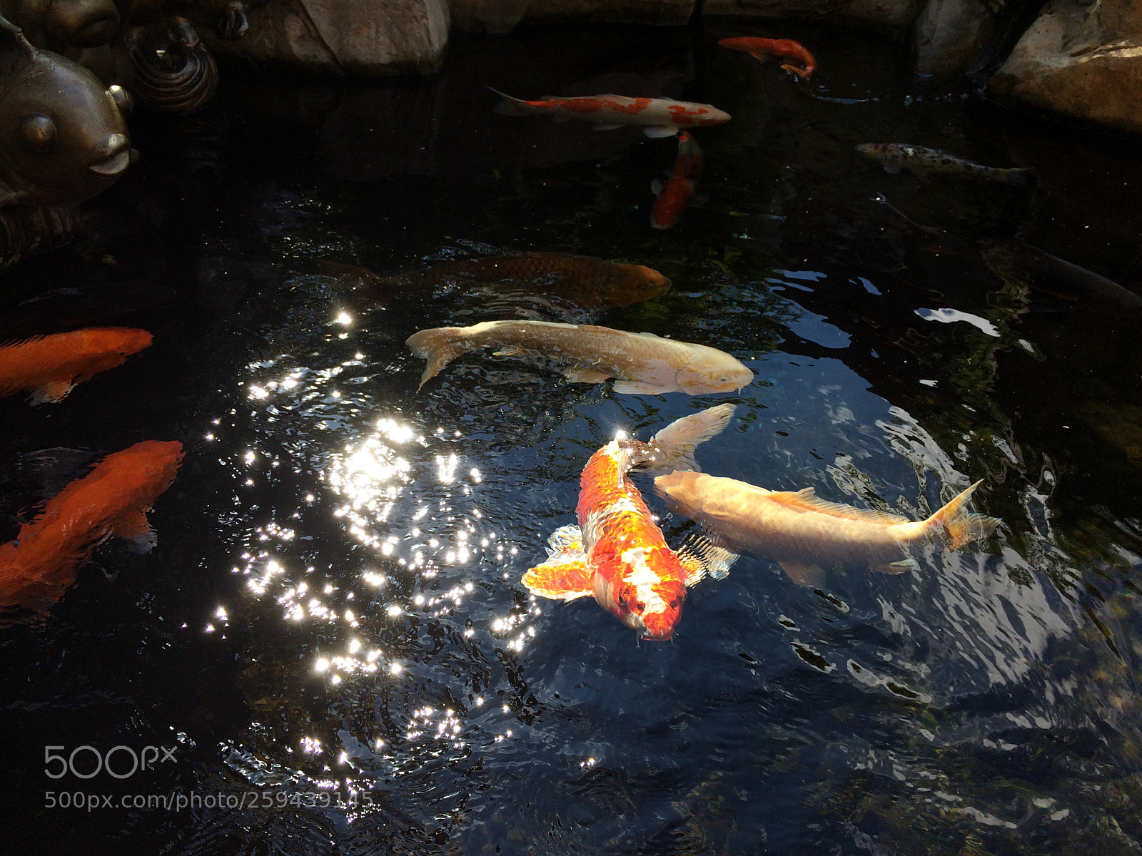 Apple iPhone 5s sample photo. Fish's playgroup photography