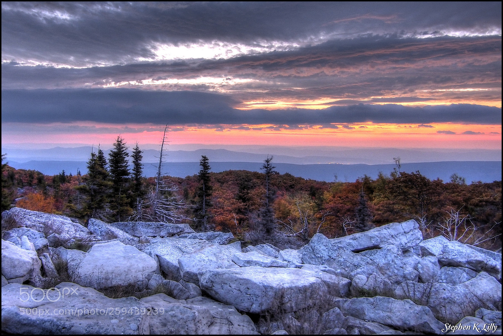 Olympus OM-D E-M5 sample photo. Dolly sods photography