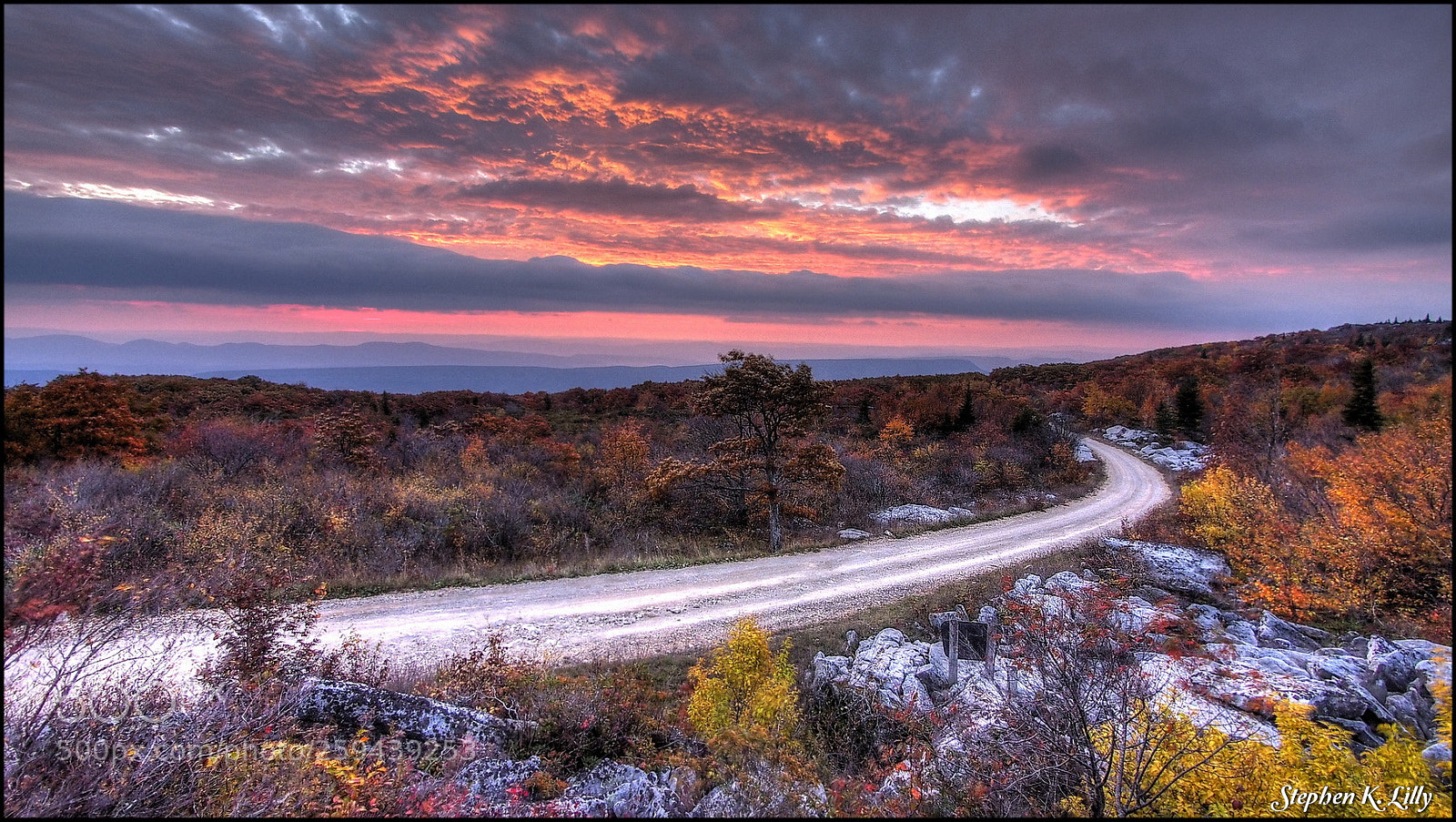 Olympus OM-D E-M5 sample photo. Dolly sods wv photography