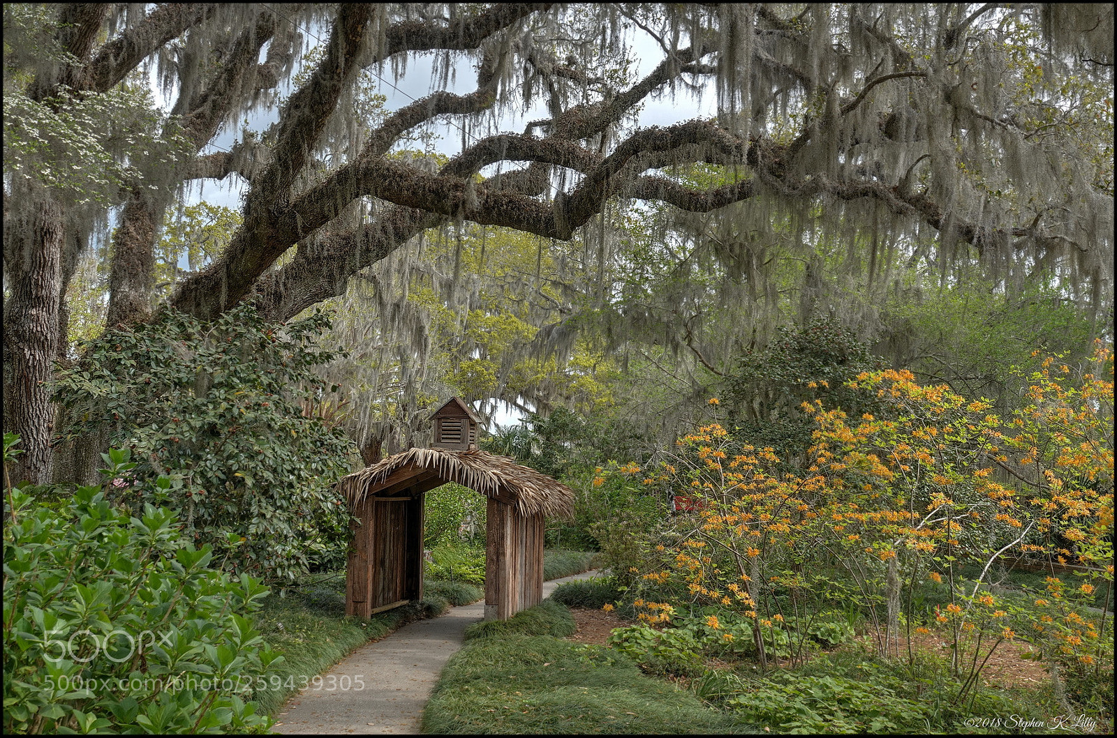 Sony Cyber-shot DSC-RX10 IV sample photo. Brookgreen gardens photography
