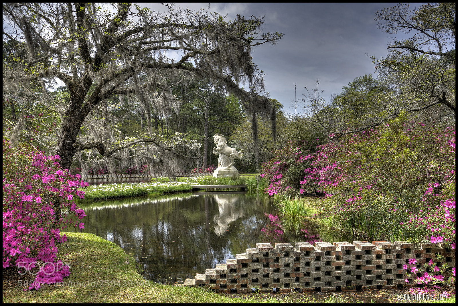 Sony a7R II sample photo. Brookgreen gardens photography