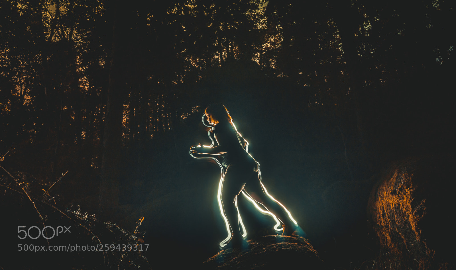 Sony a7 sample photo. Night run photography