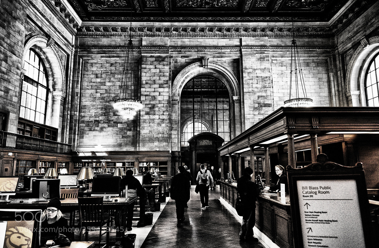 Nikon D810 sample photo. New york public library photography