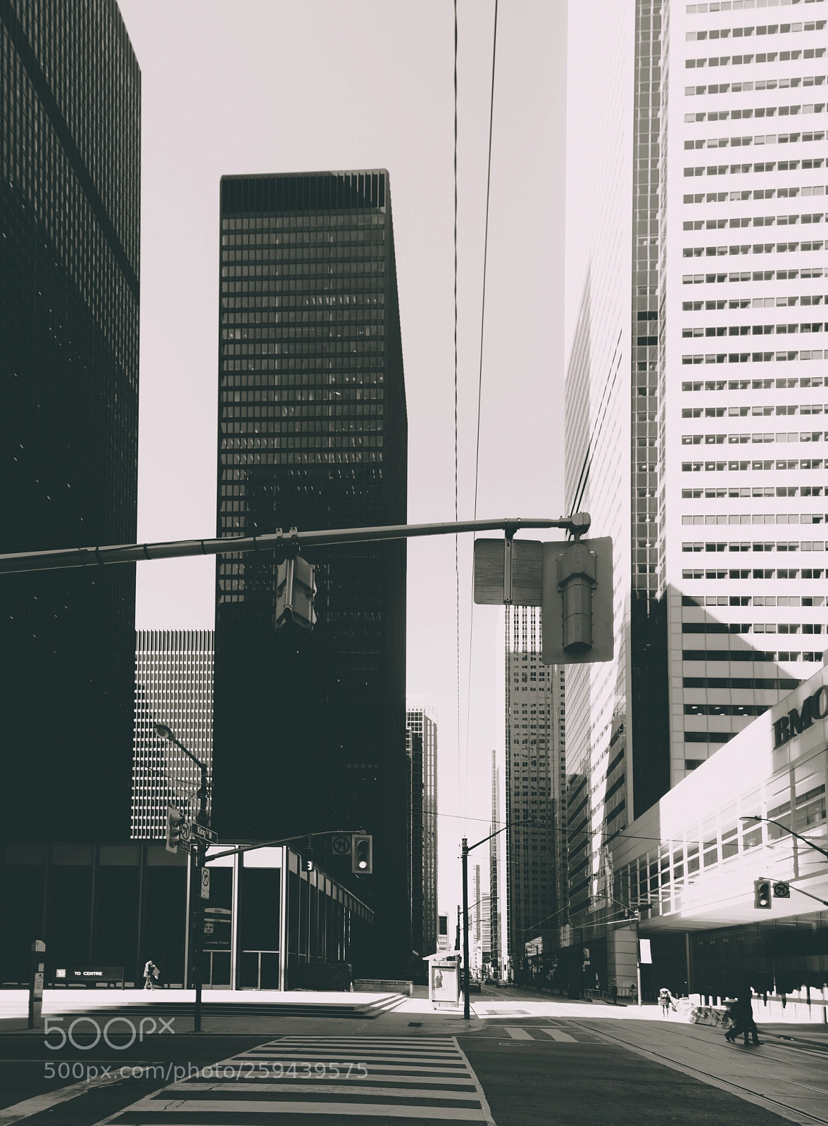 Nikon D3100 sample photo. B&w photography
