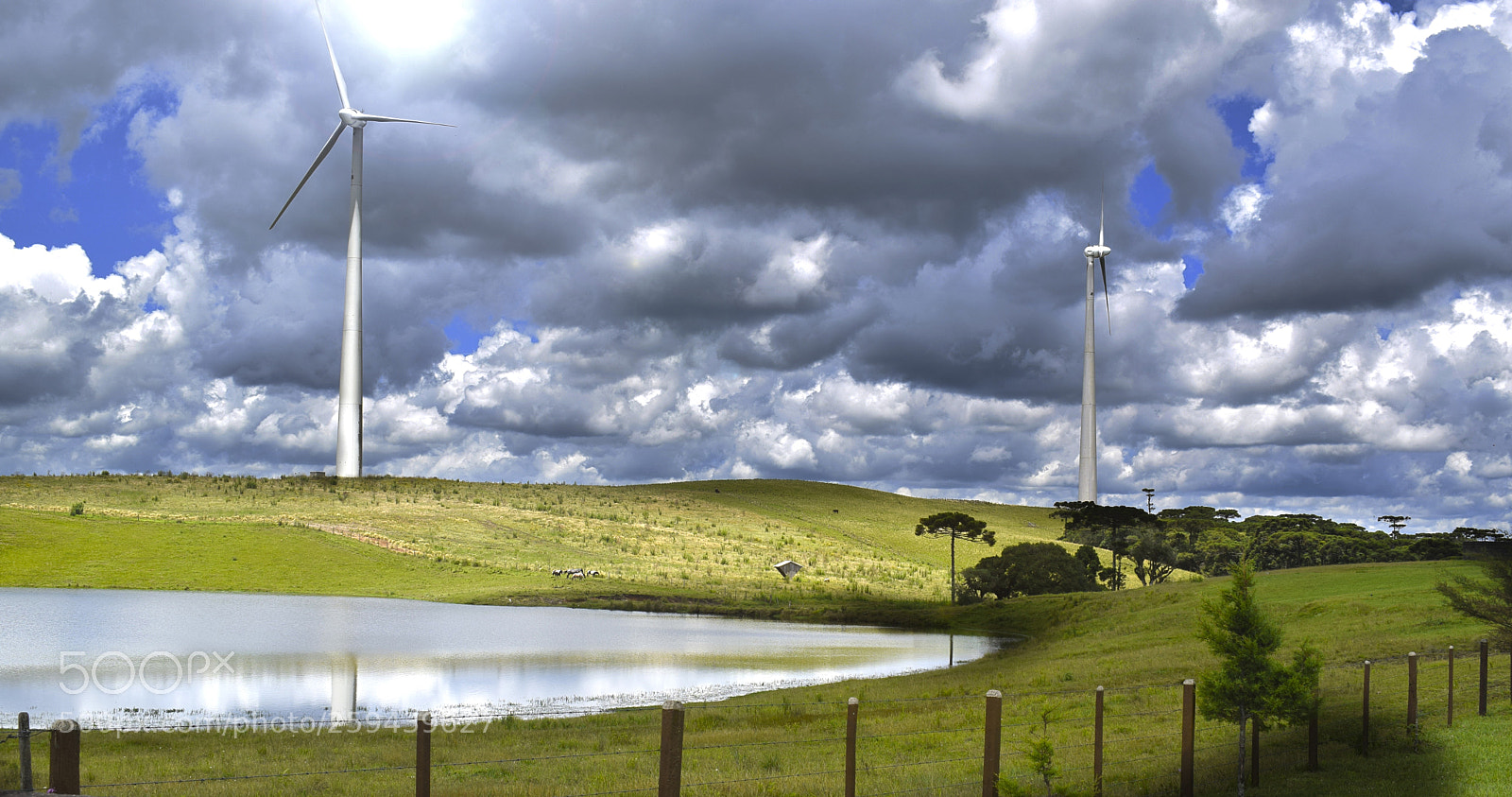 Nikon D5300 sample photo. Wind turbines photography