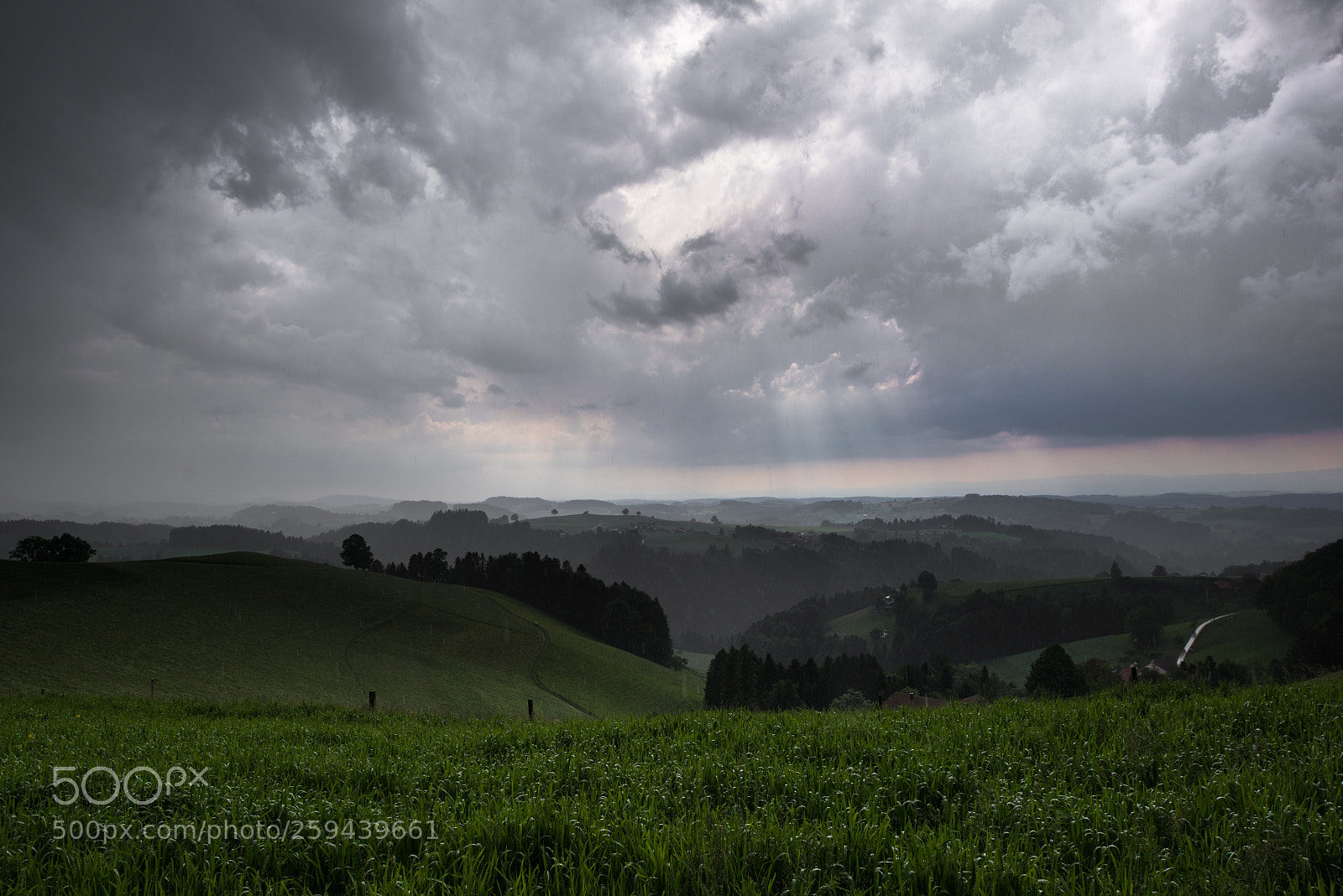 Nikon D810 sample photo. Rainy day iv photography