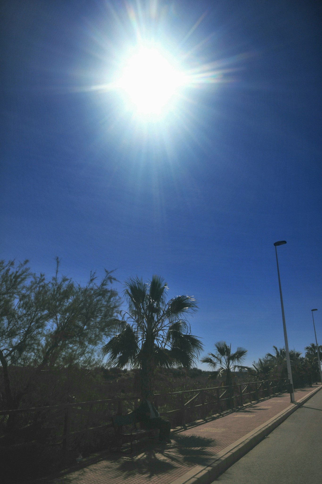 Samsung NX1 sample photo. Señor protegiéndose del  fuerte sol. photography