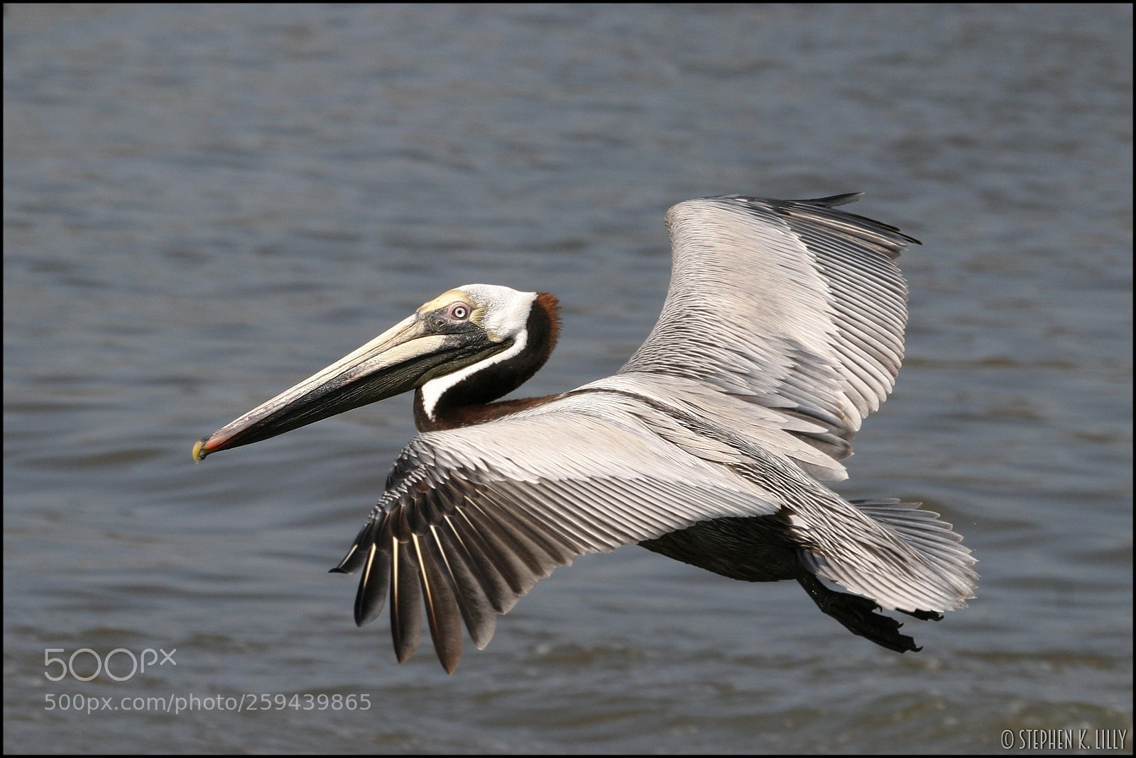 Canon EOS 10D sample photo. Sklilly photography