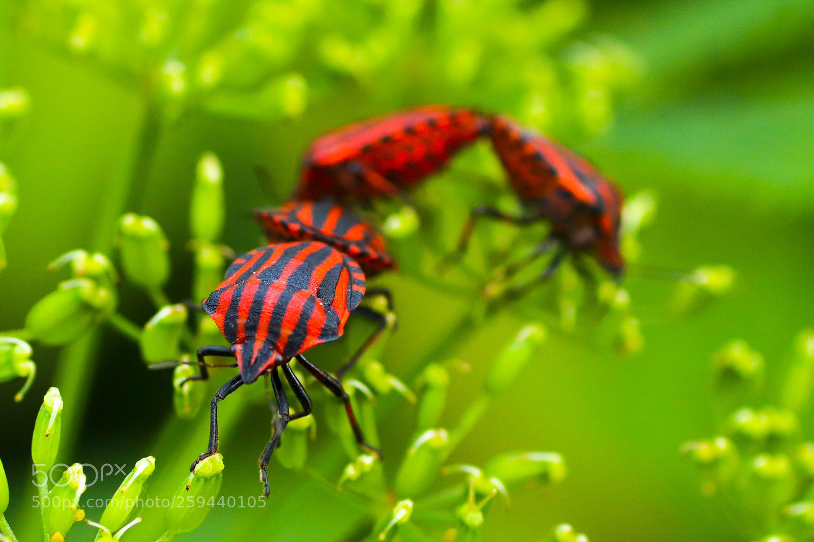 Canon EOS 77D (EOS 9000D / EOS 770D) sample photo. Untitled photography