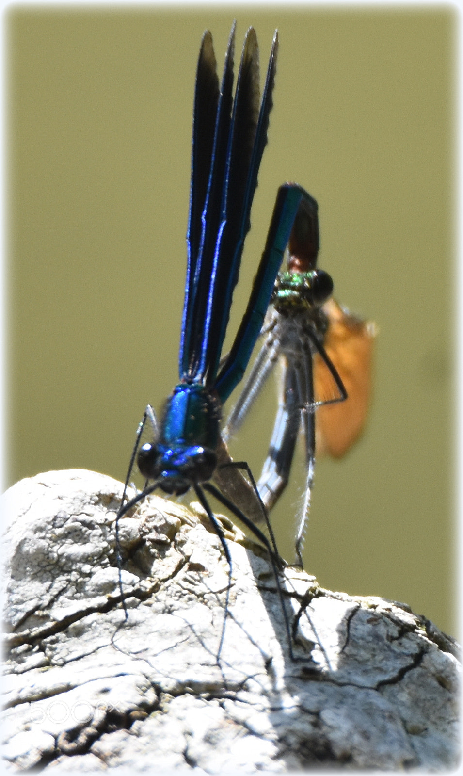 Nikon D7200 sample photo. "seen" photography