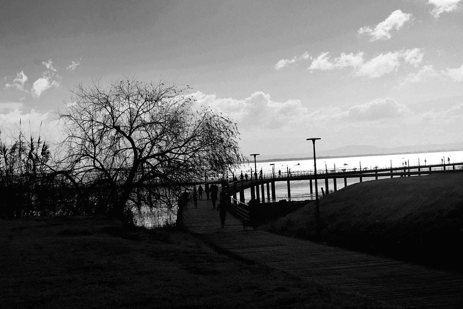 Nikon D5300 sample photo. A photography