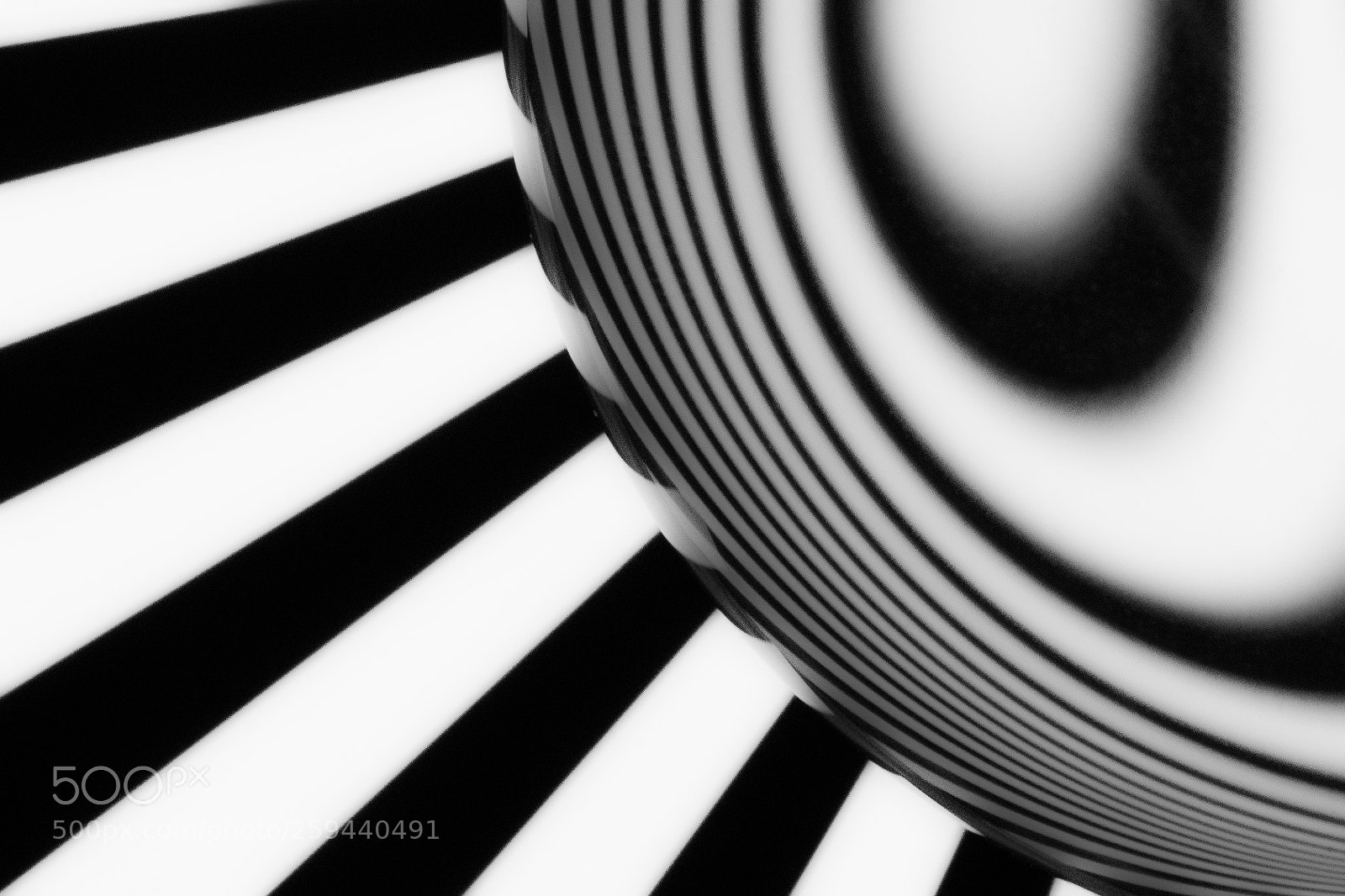 Nikon D500 sample photo. Lensball 6 photography