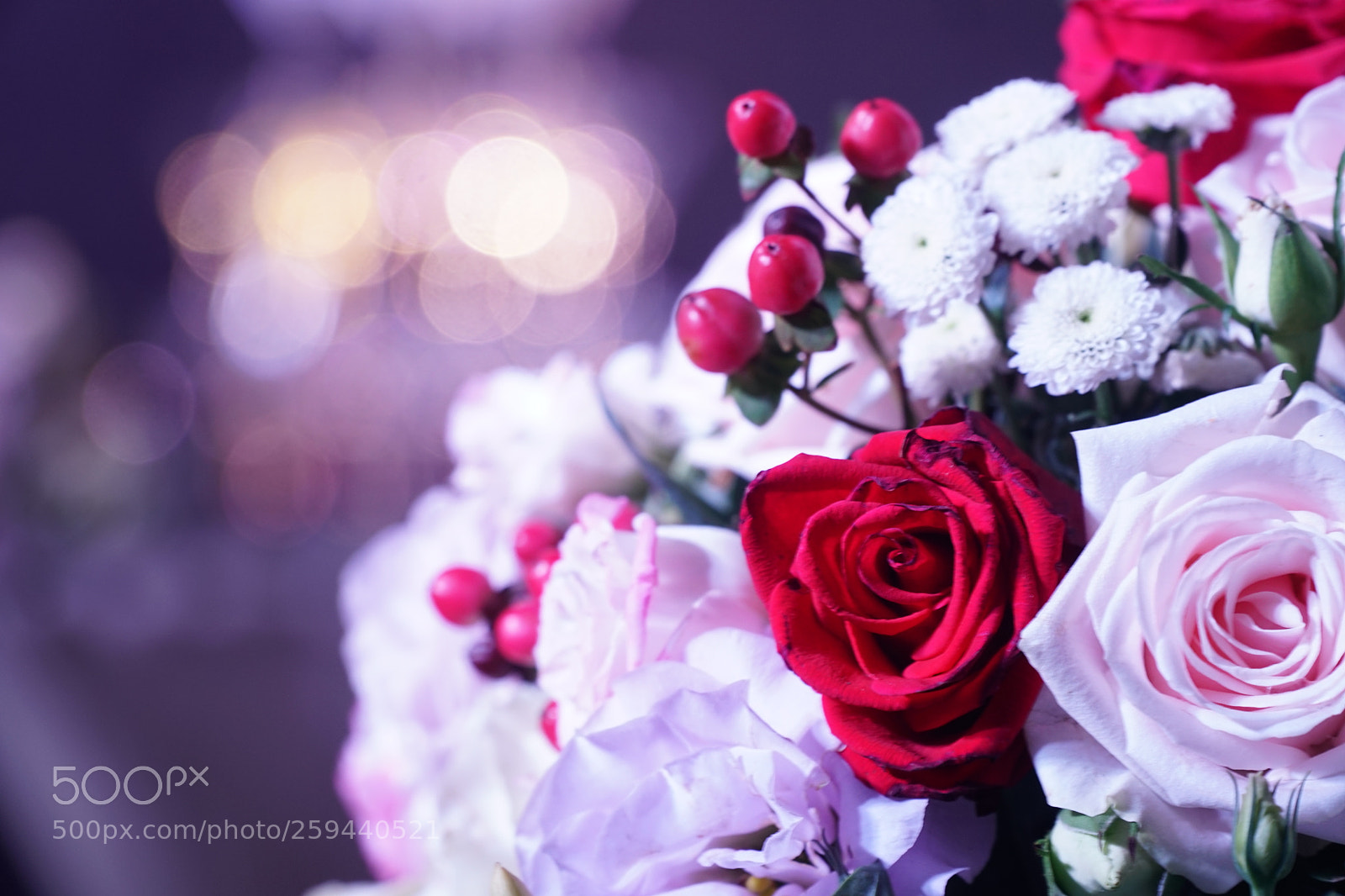 Sony a6300 sample photo. Rose flowers bouquet photography