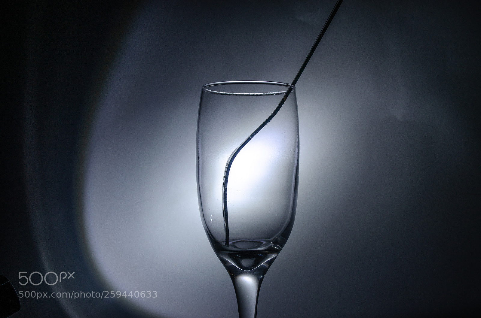 Nikon D5100 sample photo. Inspired in chris well photography