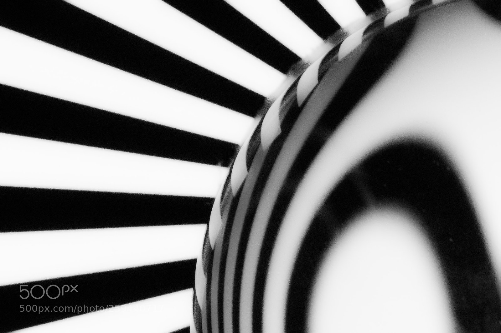 Nikon D500 sample photo. Lensball 1 photography