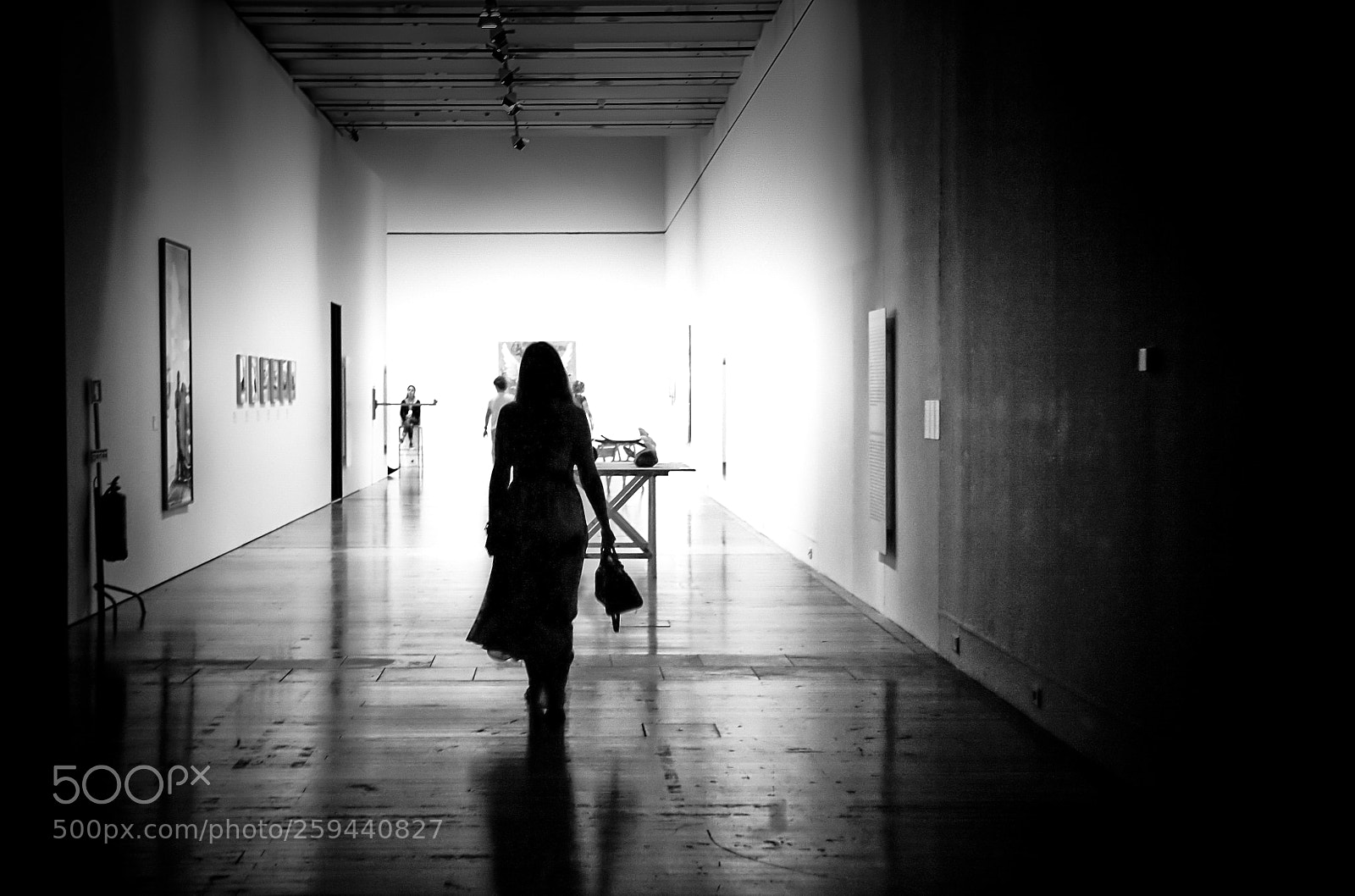 Canon EOS 5D sample photo. Cat walk photography