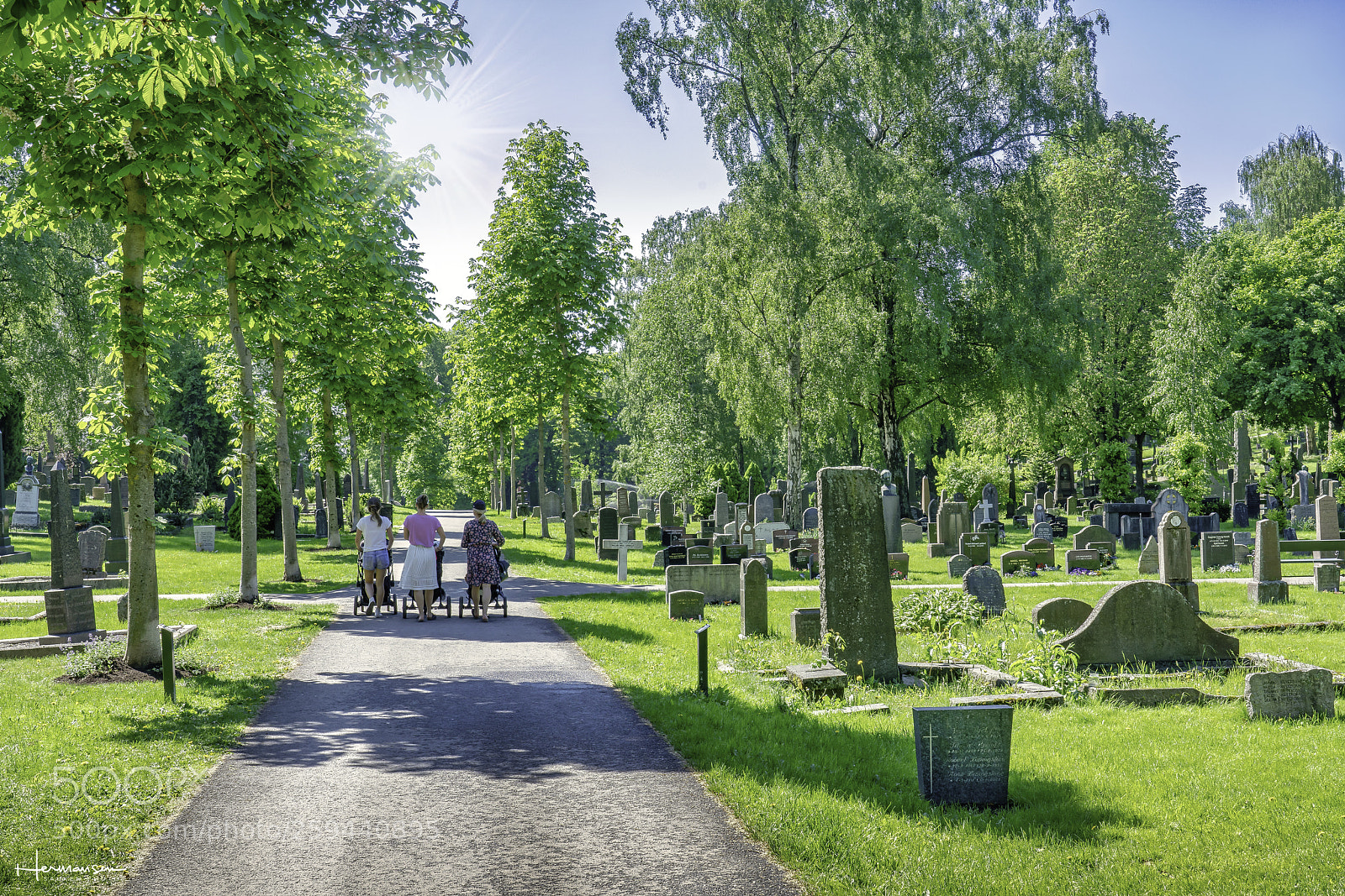 Sony a7R II sample photo. Life goes on photography