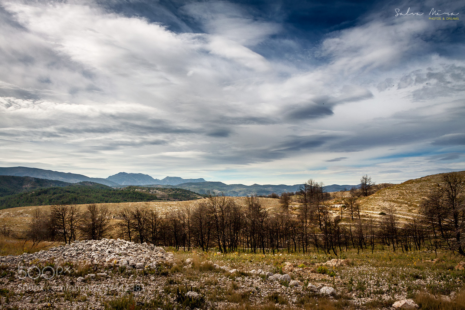 Canon EOS 50D sample photo. Paisatges de muntanya photography