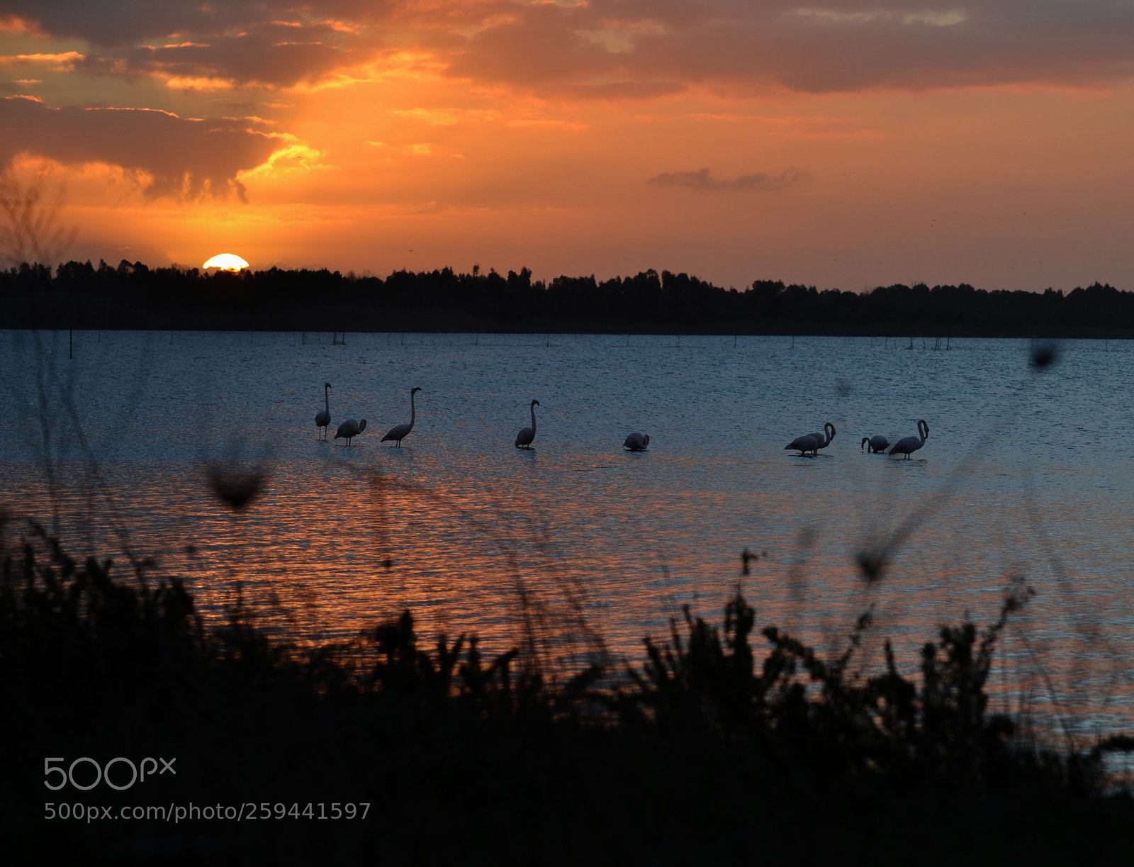 Nikon D3100 sample photo. Tramonto photography