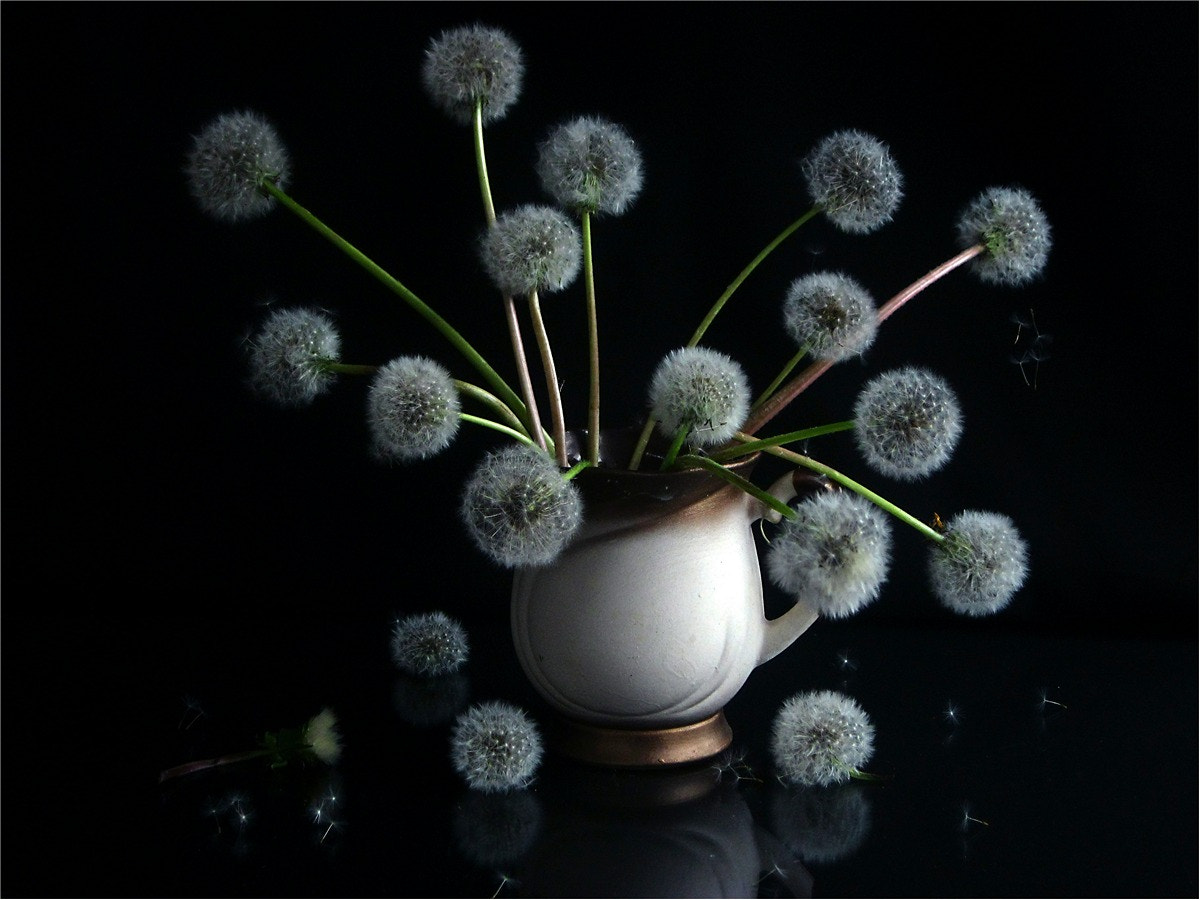 Canon PowerShot A3000 IS sample photo. Dandelion bouquet photography