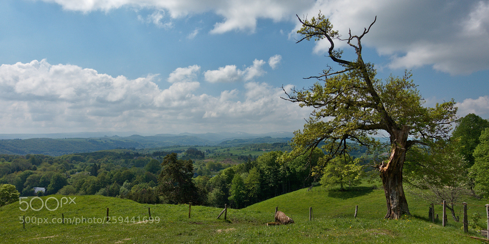Sony Cyber-shot DSC-RX100 IV sample photo. Cantal auvergne photography