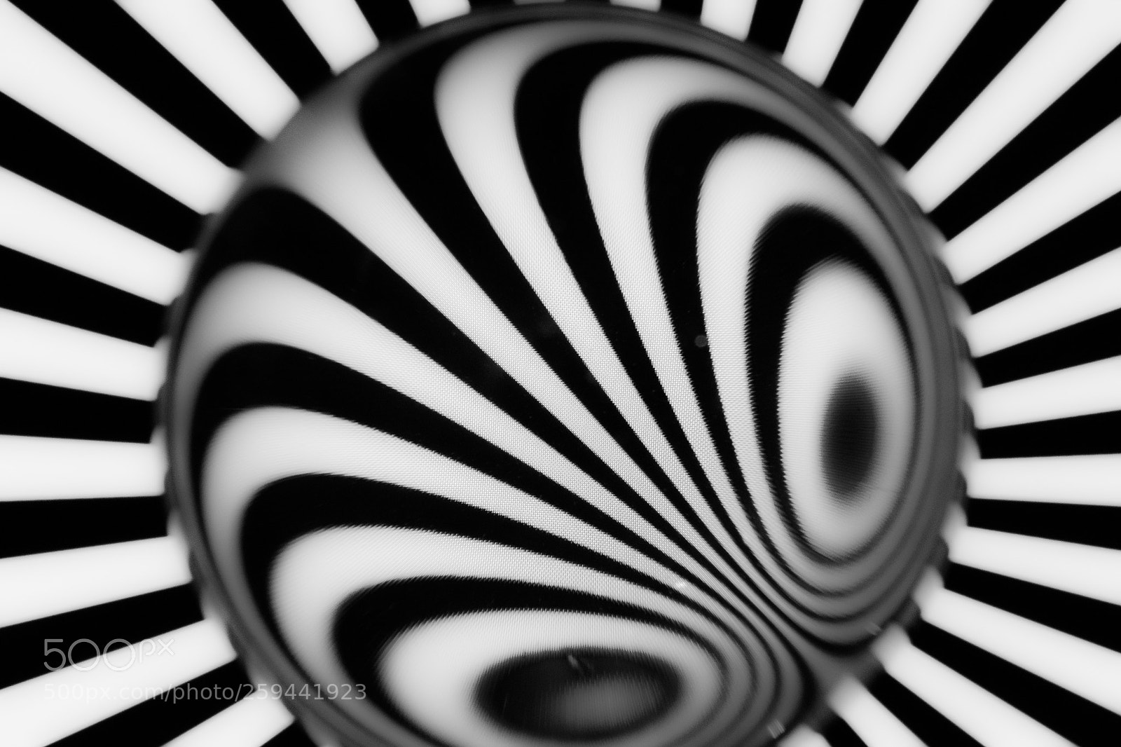 Nikon D500 sample photo. Lensball 4 photography