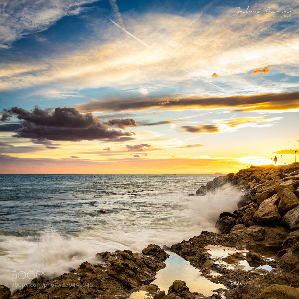 Sony a7 II sample photo. L'espig del moll de photography