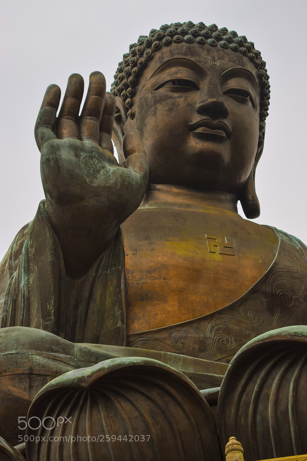 Nikon D5300 sample photo. Tian tan buddha photography
