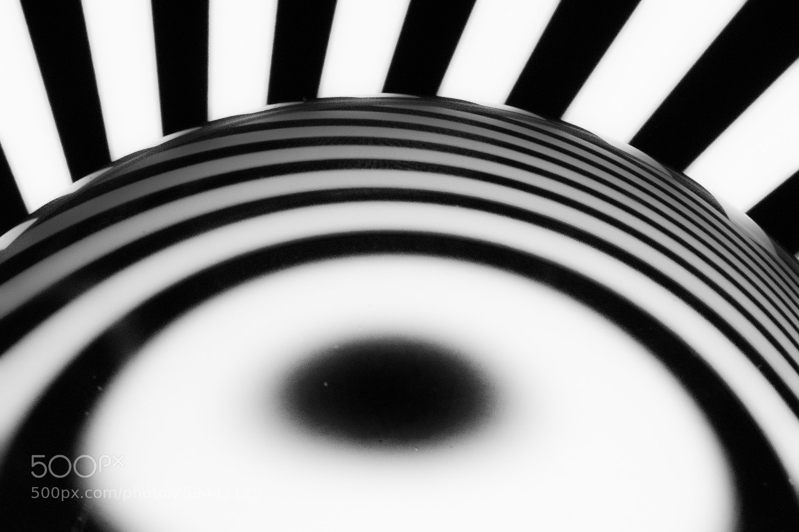 Nikon D500 sample photo. Lensball 5 photography