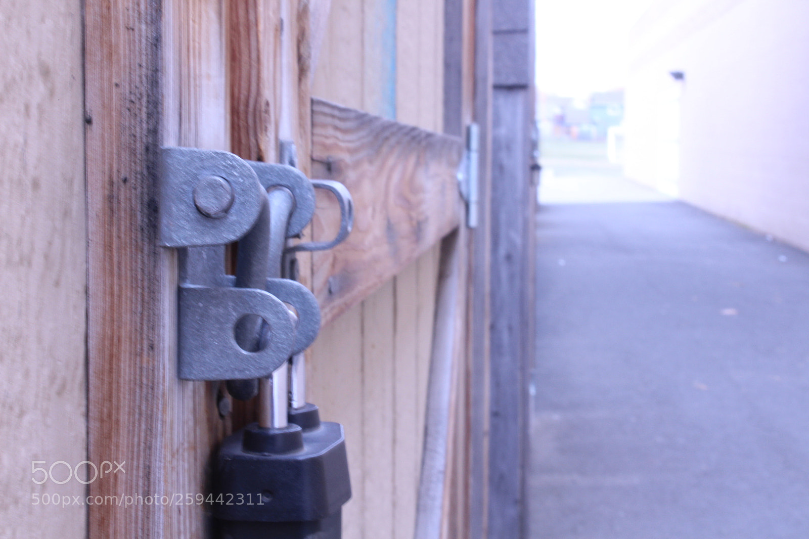 Canon EOS 1300D (EOS Rebel T6 / EOS Kiss X80) sample photo. Shed photography