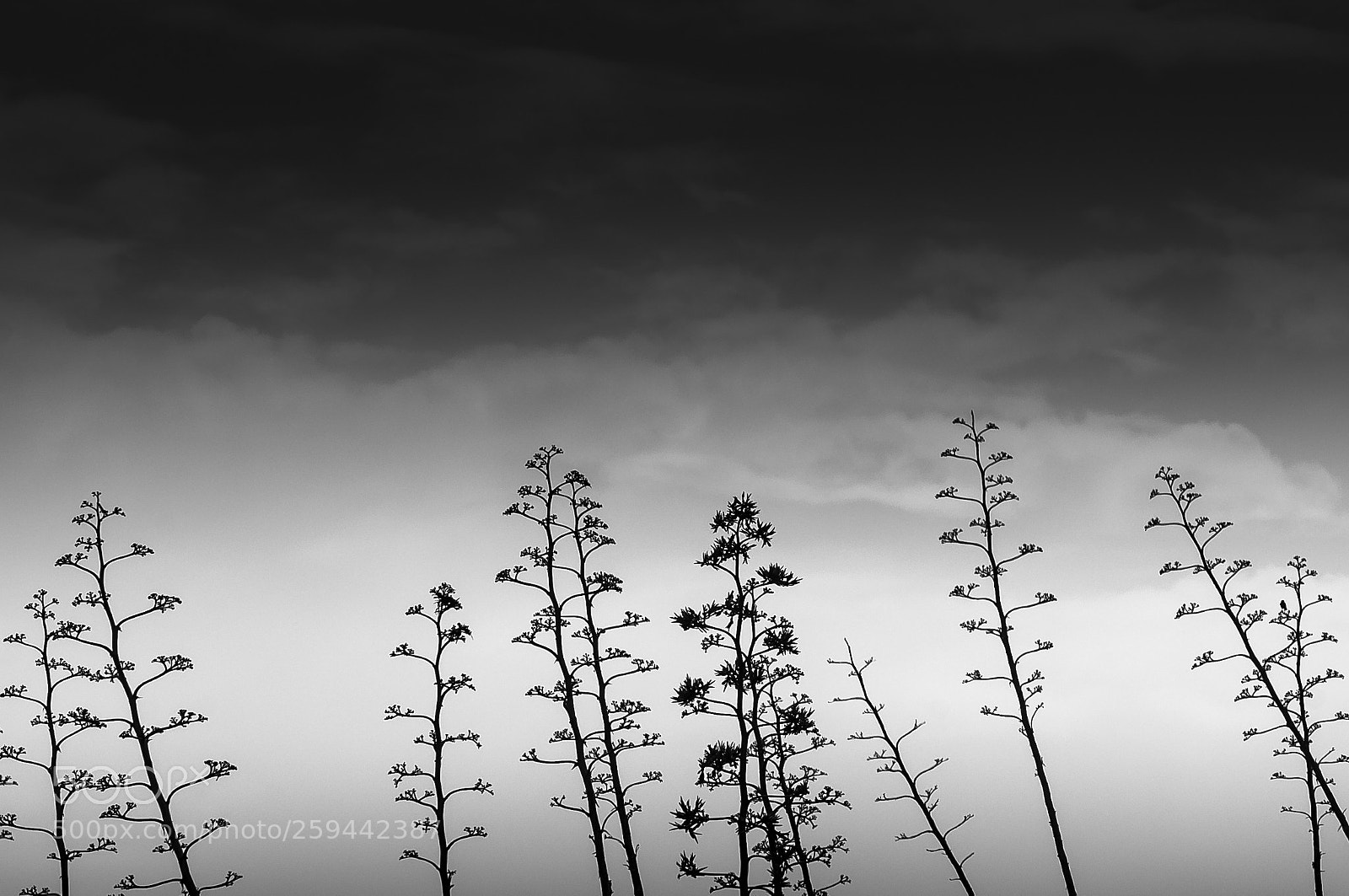 Nikon D700 sample photo. Cabo de gata photography