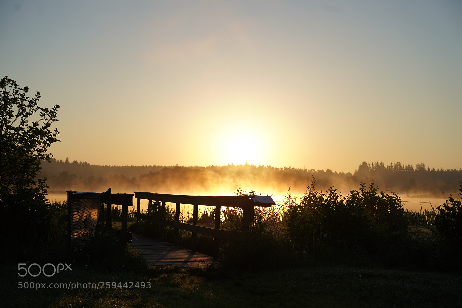 Sony a7 III sample photo. Dsc photography