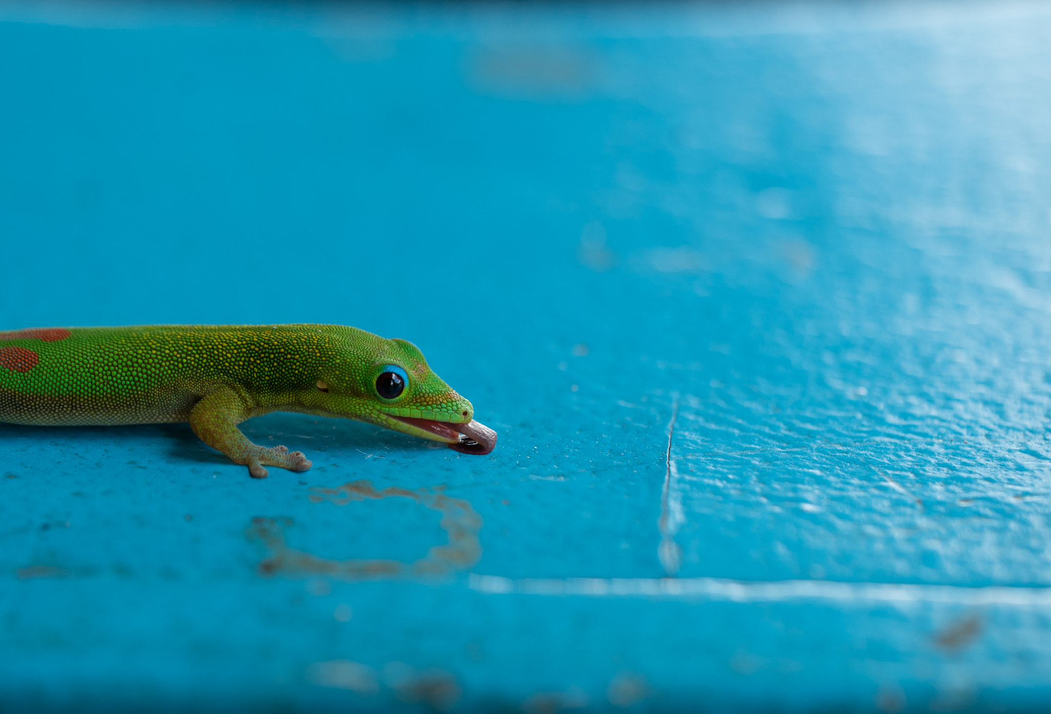 Sony a7S sample photo. :p photography