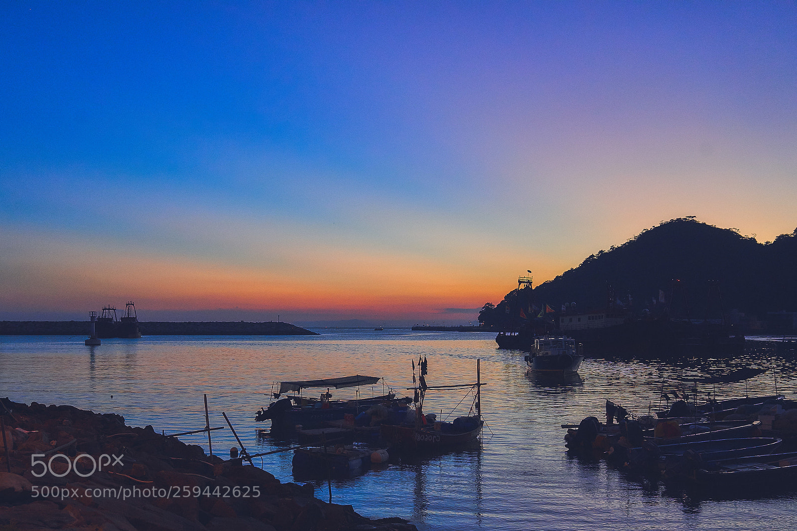 Sony a7 III sample photo. Tai o photography