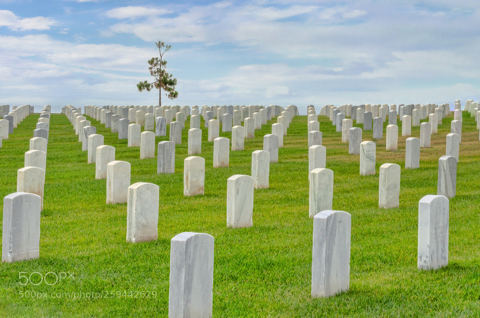 Nikon D5100 sample photo. Memorial day photography