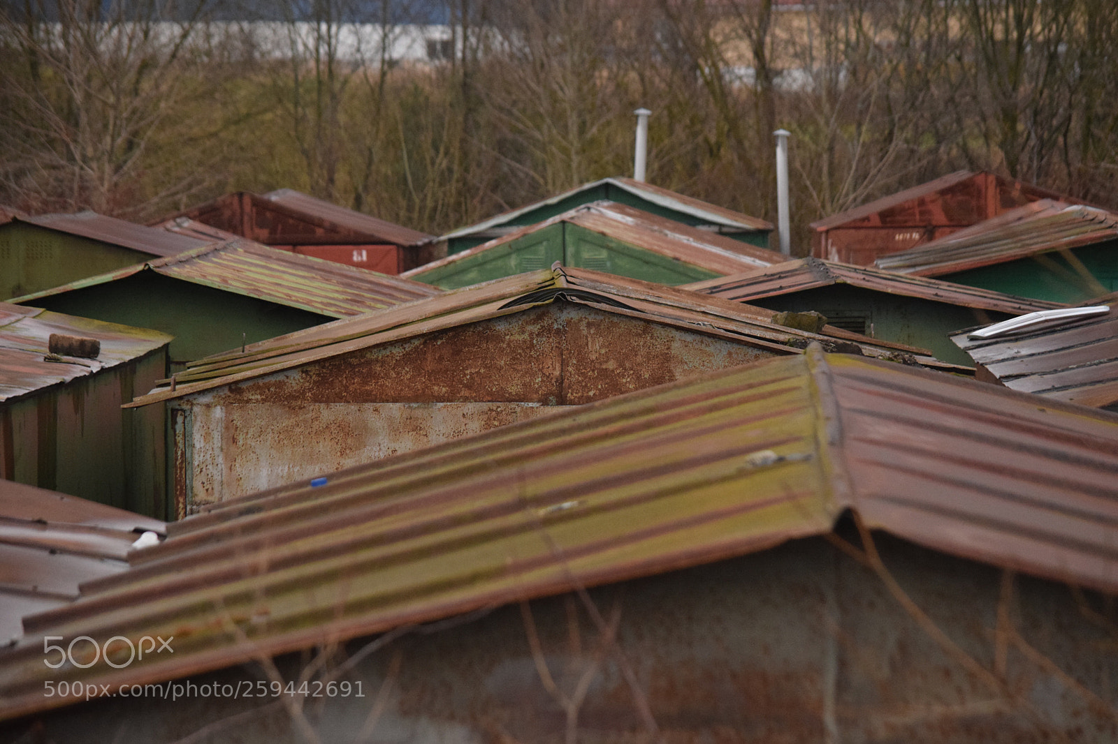Nikon D5300 sample photo. The one photography