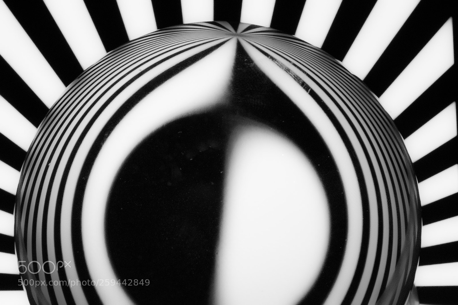 Nikon D500 sample photo. Lensball 7 photography