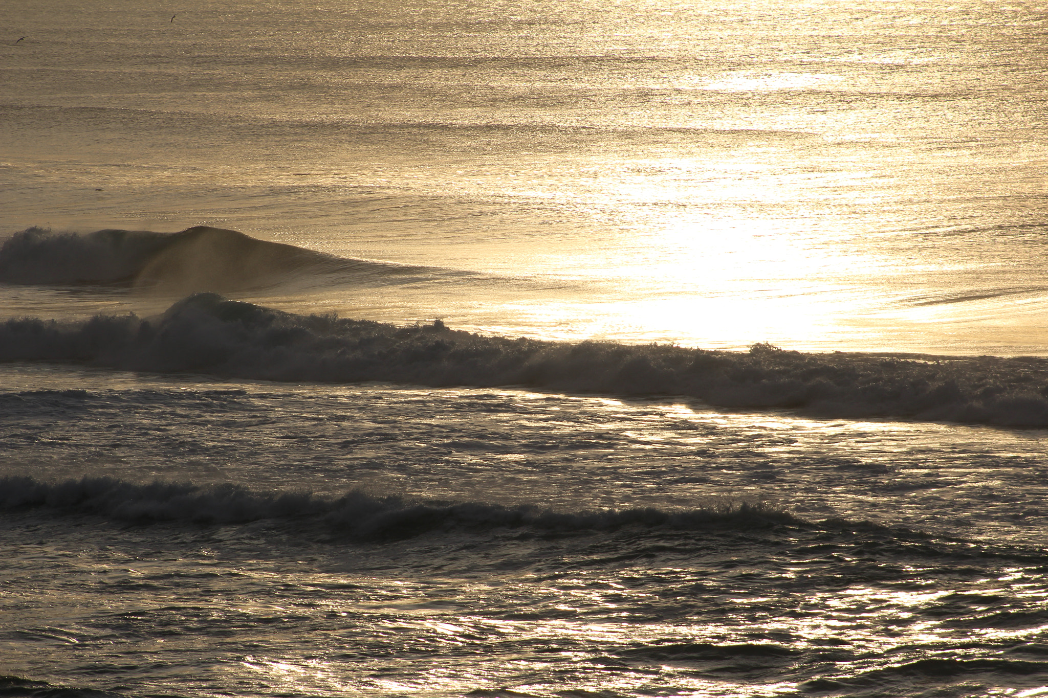Canon EF 75-300mm f/4-5.6 sample photo. () photography