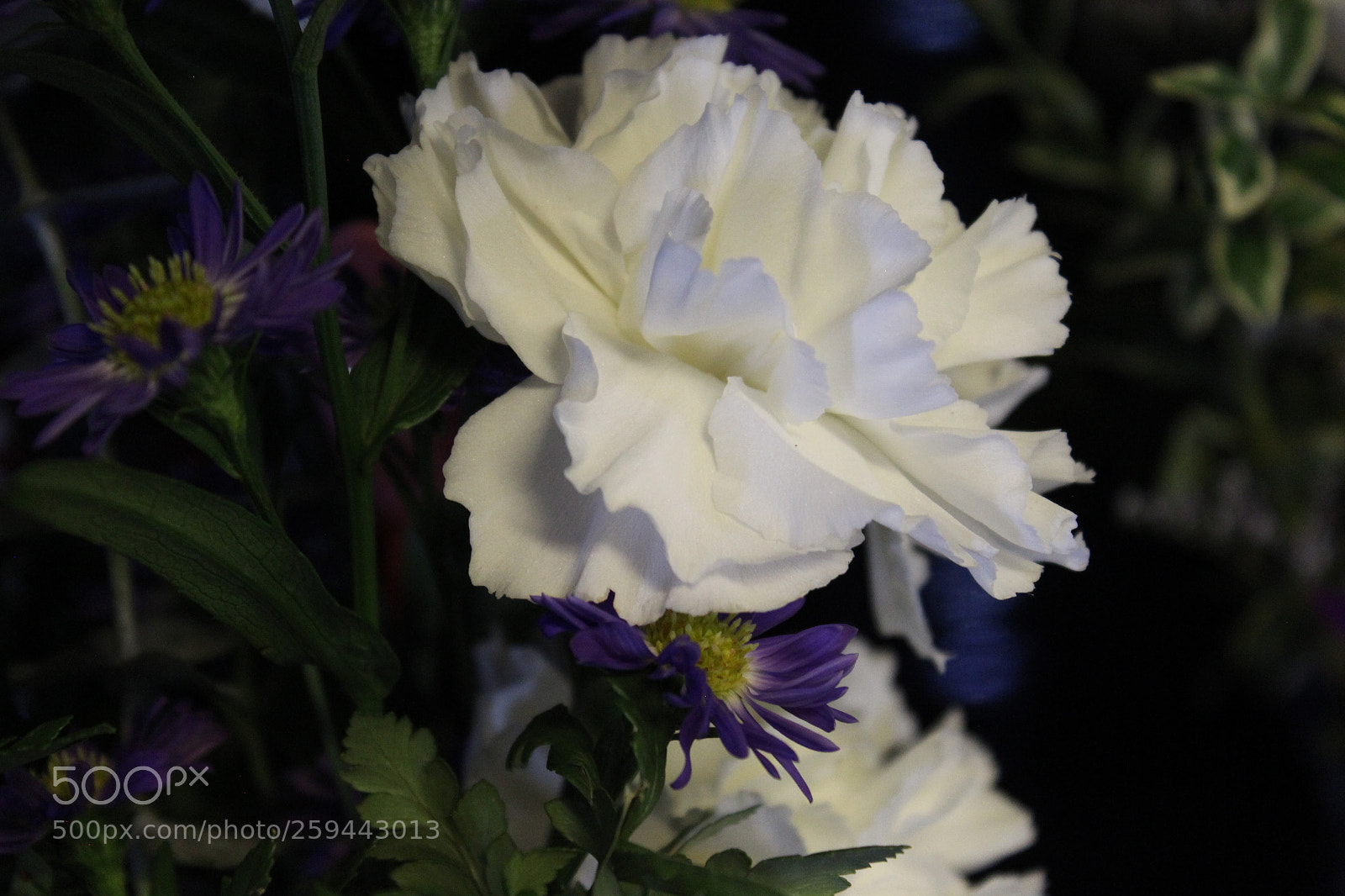 Canon EOS 1200D (EOS Rebel T5 / EOS Kiss X70 / EOS Hi) sample photo. Flowers photography