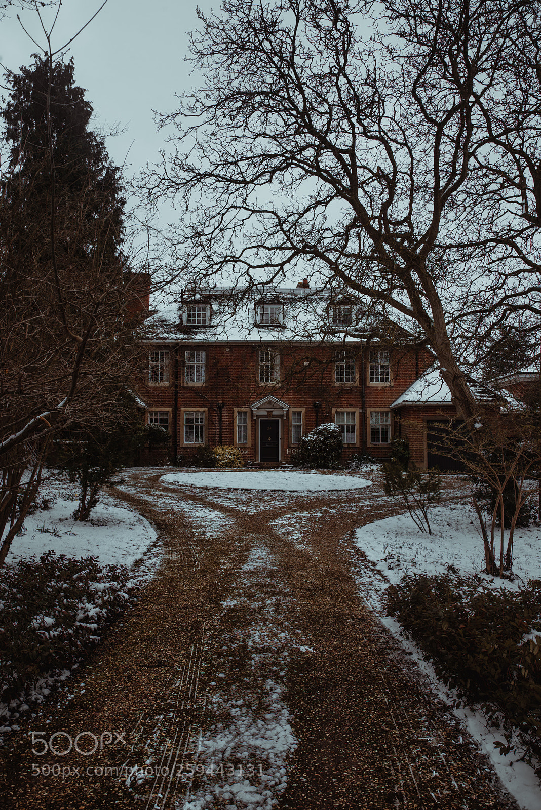Nikon D750 sample photo. Pm photography