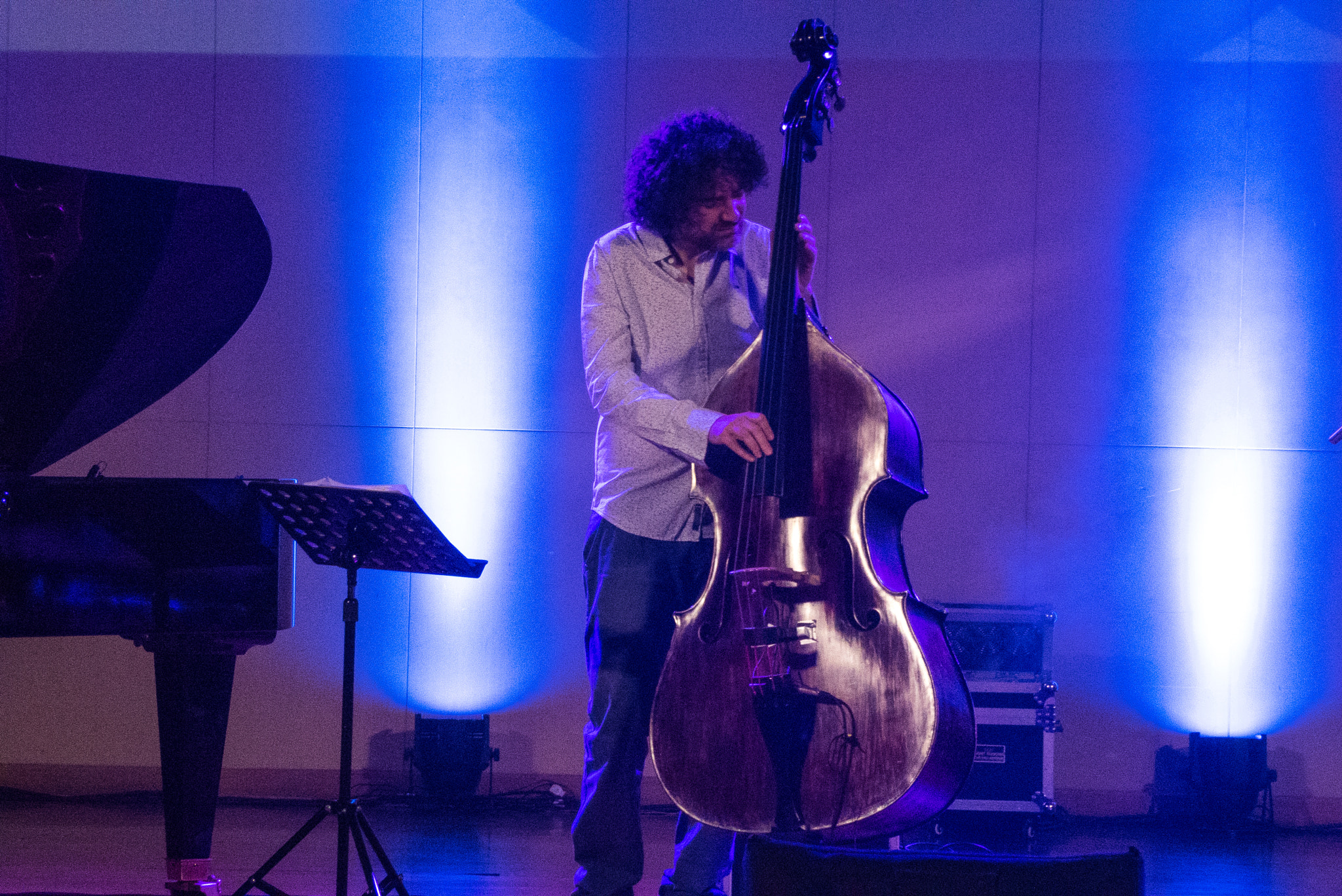 Panasonic Lumix DMC-ZS50 (Lumix DMC-TZ70) sample photo. Camillo pace, the bassist of t-riot photography