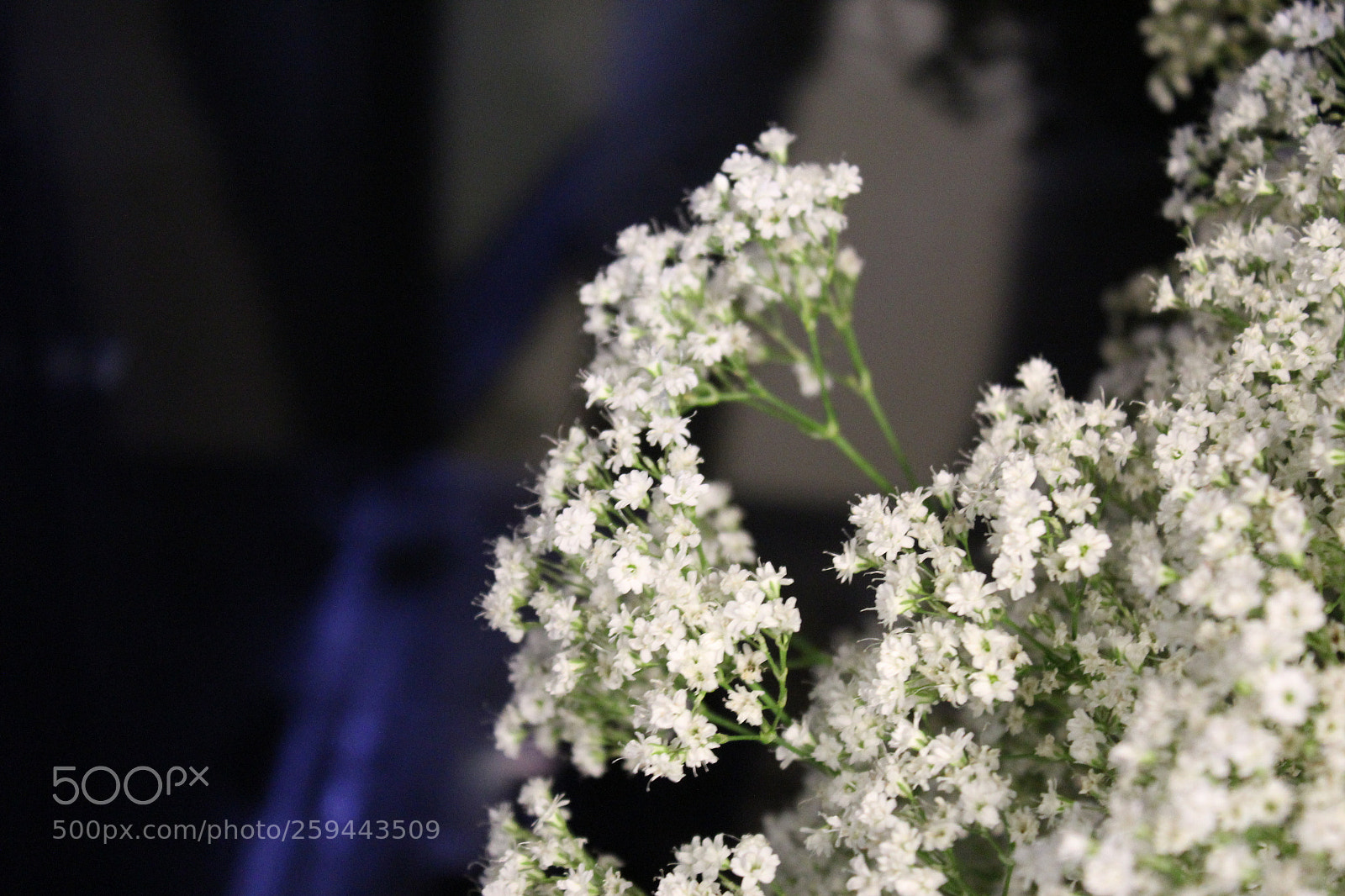Canon EOS 1200D (EOS Rebel T5 / EOS Kiss X70 / EOS Hi) sample photo. Mode dial photography
