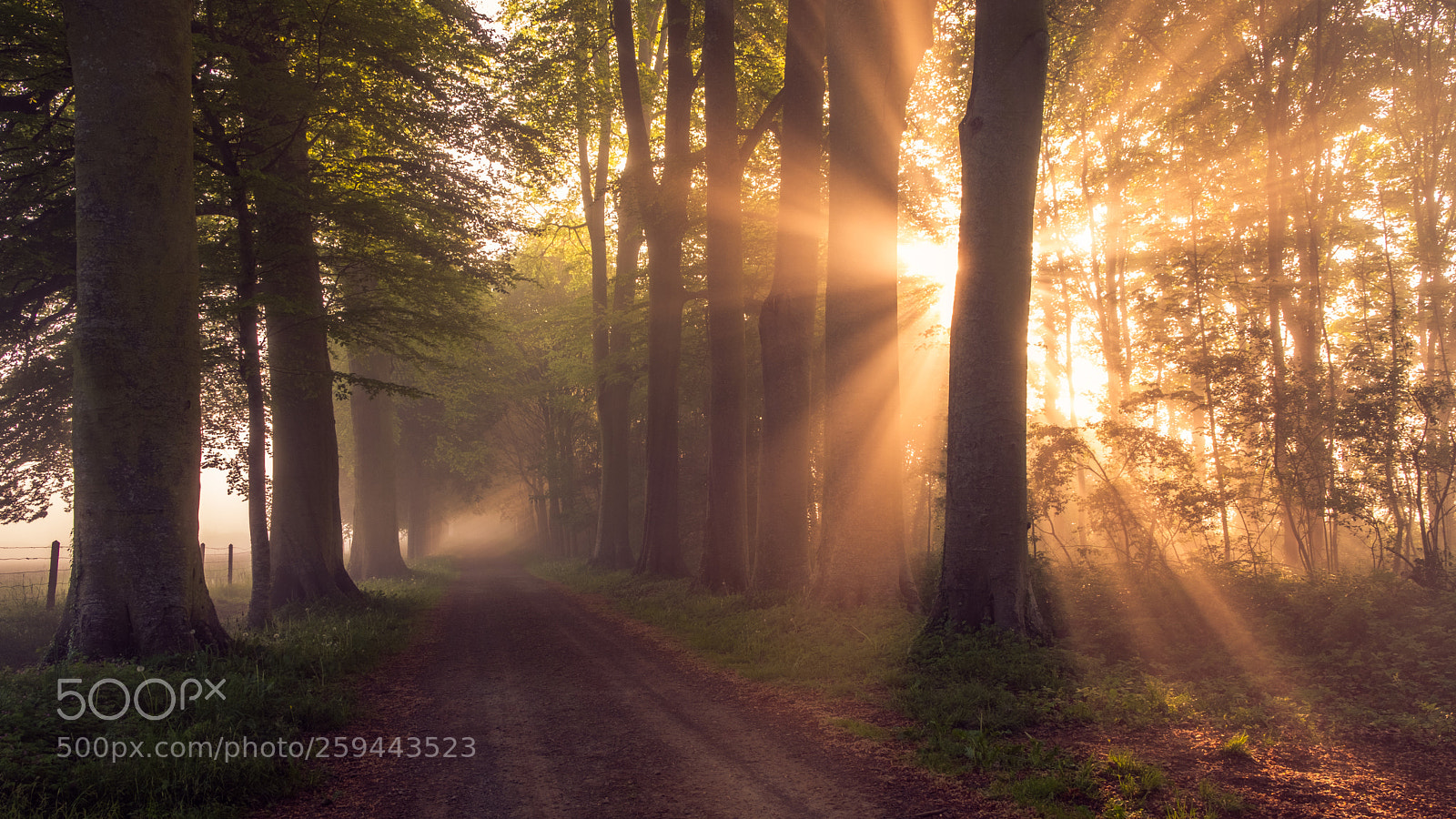 Fujifilm X-T2 sample photo. Sunrise in normandie photography