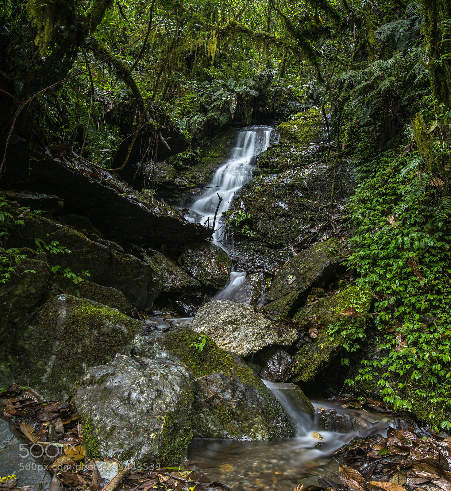 Nikon D810 sample photo. Nepalese jungle hideaway photography