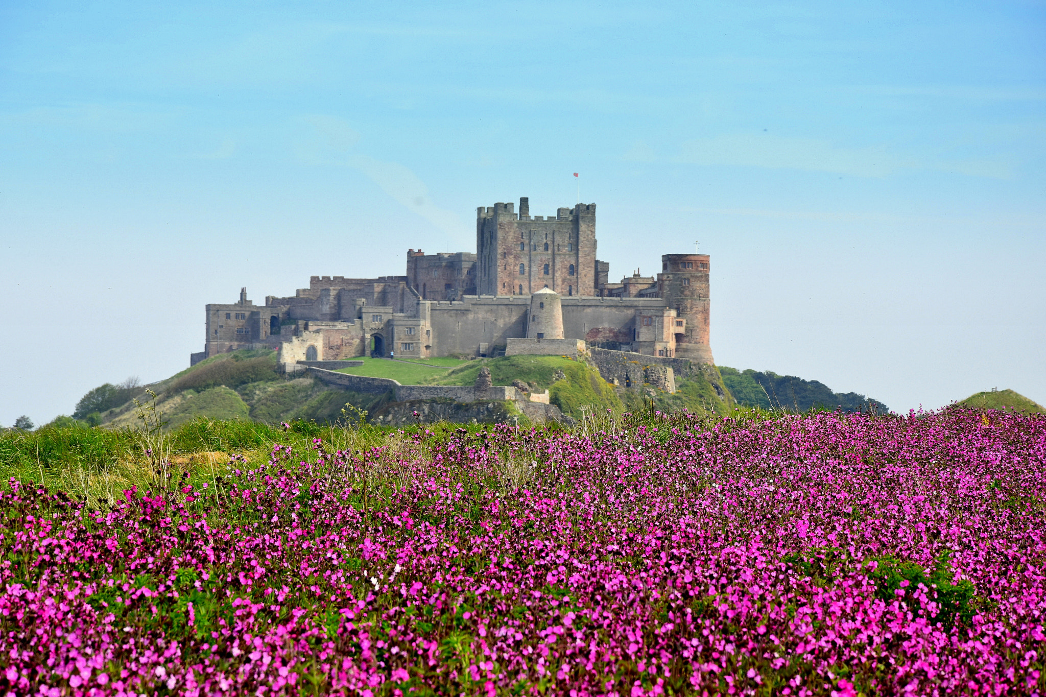 Nikon D5500 sample photo. Castle in flowers photography