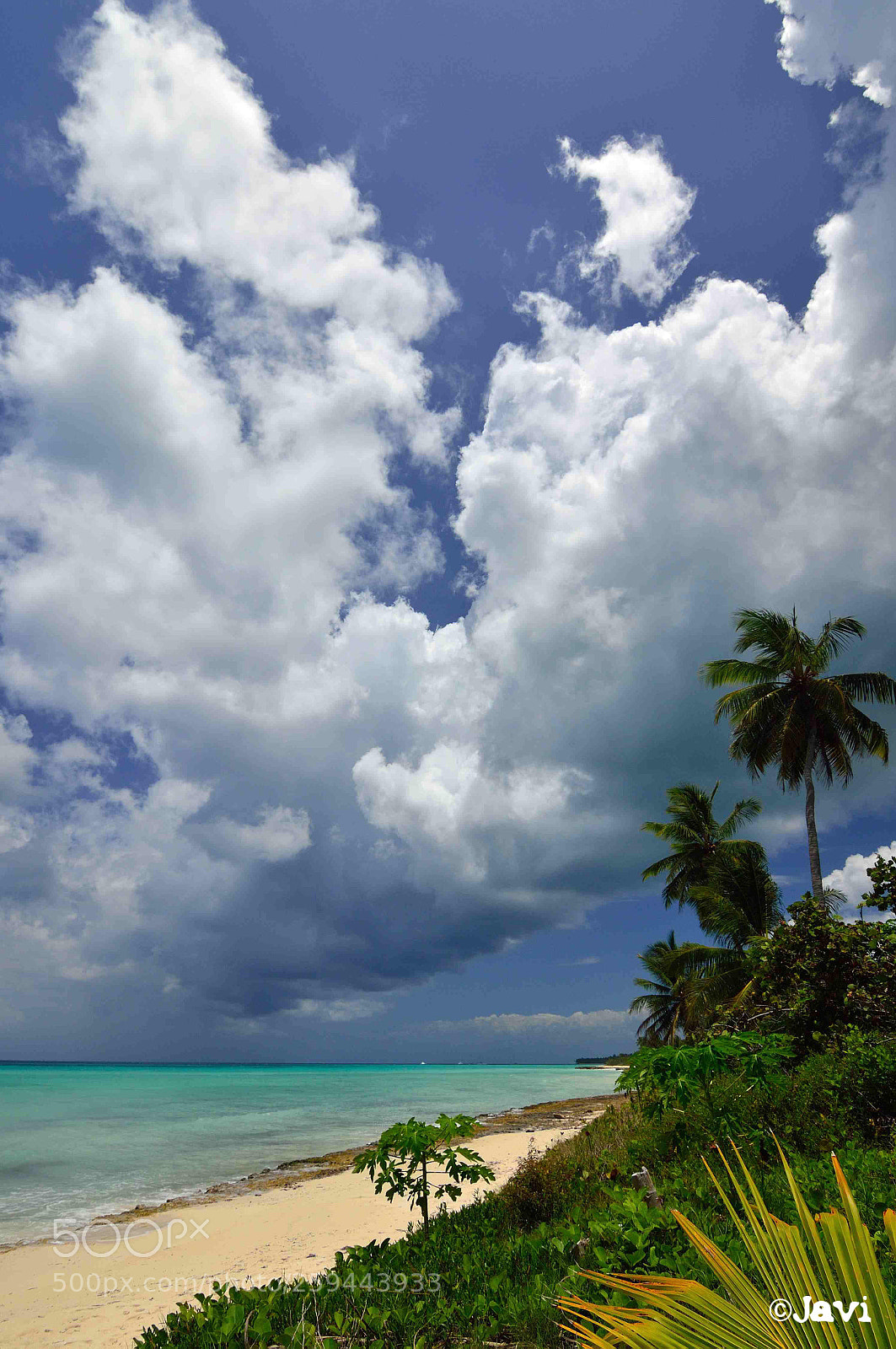 Nikon D3200 sample photo. Isla saona republica dominicana photography