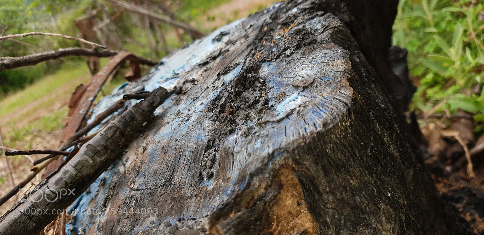 Samsung Galaxy S9 sample photo. Untitled photography